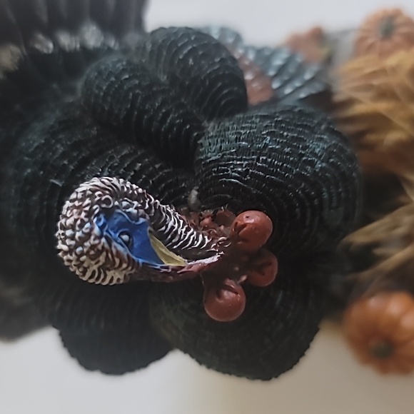 Country Farm Couple Bareroot  Thanksgiving Turkey Decor - Picture 4 of 11